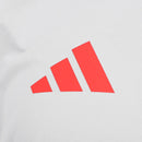 Camisa Internacional Treino 25/26 - Cinza
